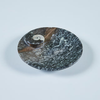 Fossilized Marble Vide Poche