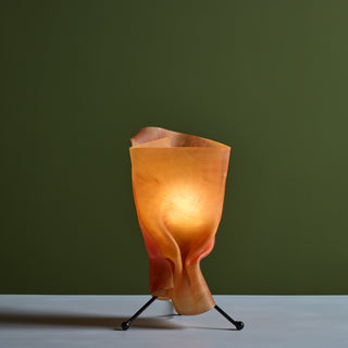 Postmodern Resin Shade Table Lamp