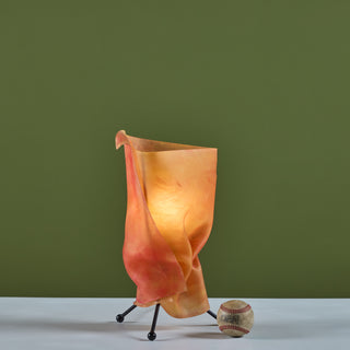 Postmodern Resin Shade Table Lamp